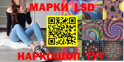 spice Новодвинск