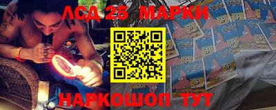 spice Новодвинск