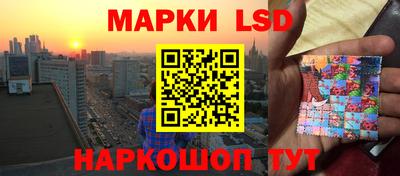 spice Новодвинск