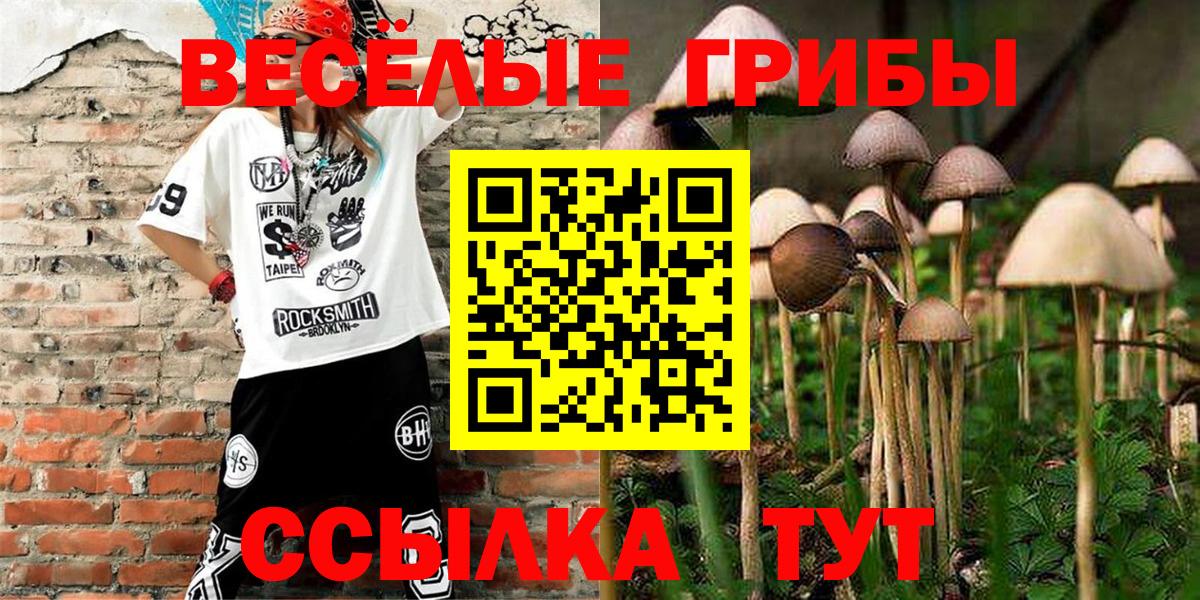 Псилоцибиновые грибы Cubensis  Галлюциногенные грибы мицелий  Тавда  Вход с VPN 