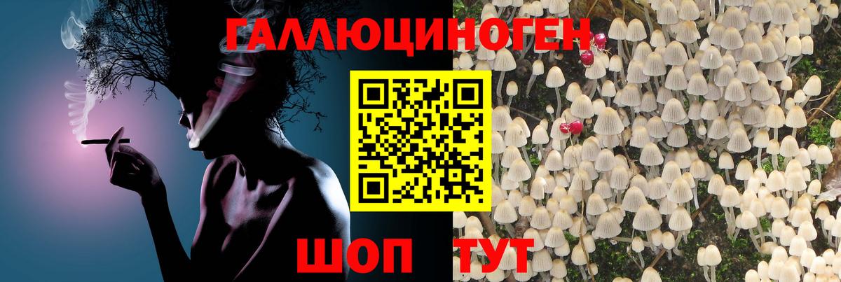 Галлюциногенные грибы прущие грибы Тавда